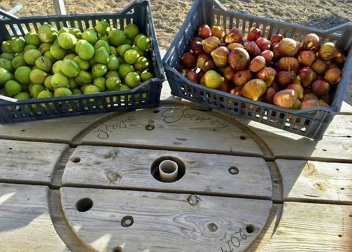 Ktima Tzaneti בית נופש *
