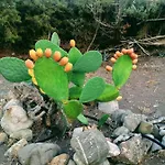 Ktima Tzaneti *