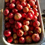 Дом отдыха Ktima Tzaneti Лакания