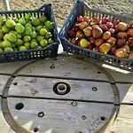 Ktima Tzaneti Дом отдыха *