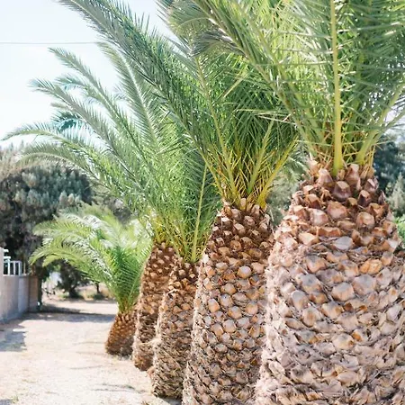 Case de vacanță Ktima Tzaneti Lachania