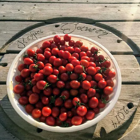 Holiday home Ktima Tzaneti