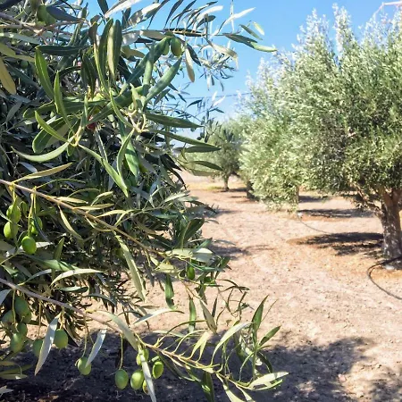 Holiday home Ktima Tzaneti *