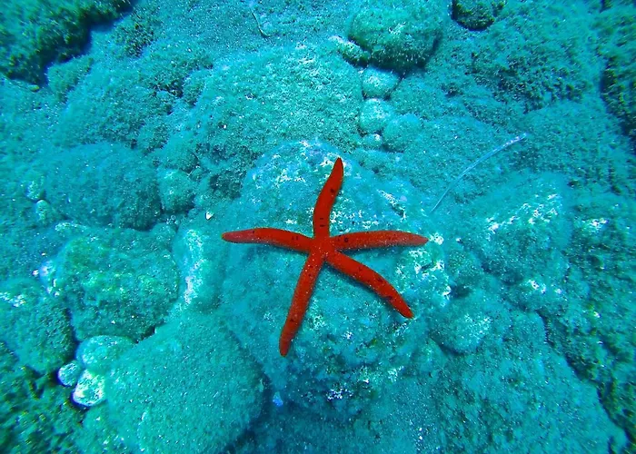 Ktima Tzaneti Lakhania