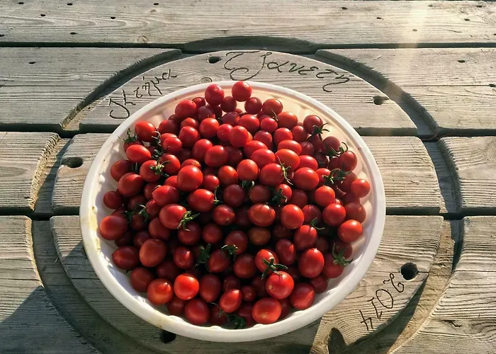 Feriehus Ktima Tzaneti