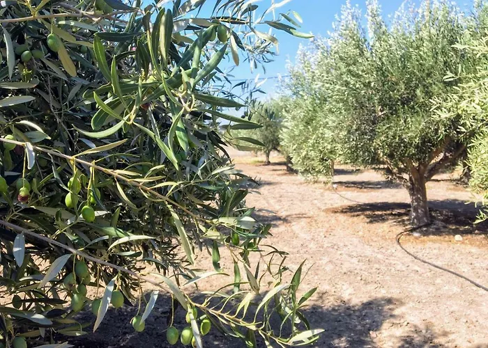 Holiday home Ktima Tzaneti *