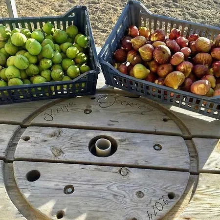 Ktima Tzaneti Hébergement de vacances *